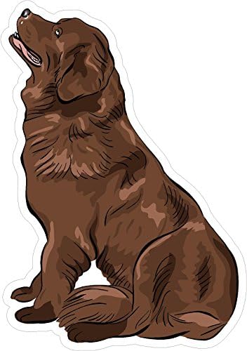 Kutya Newfoundland 7x5 cm Ember Legjobb Barátja Kiskutya Állat Amerikai Egyesült Államok Murica Színes Matrica Állami
