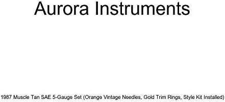 Aurora Eszközök 1987 Izom Tan SAE 5-Es Szett (Narancs Vintage Tűk, Arany Szegéllyel Gyűrűk, Stílus Készlet Telepítve)