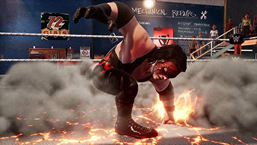 WWE 2K Games Battlegrounds - PlayStation 4 Standard Edition