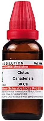 Dr. Willmar a Csomag India Cistus Canadensis Hígítási 30 CH (30 ml) Minden egyes Rendelés